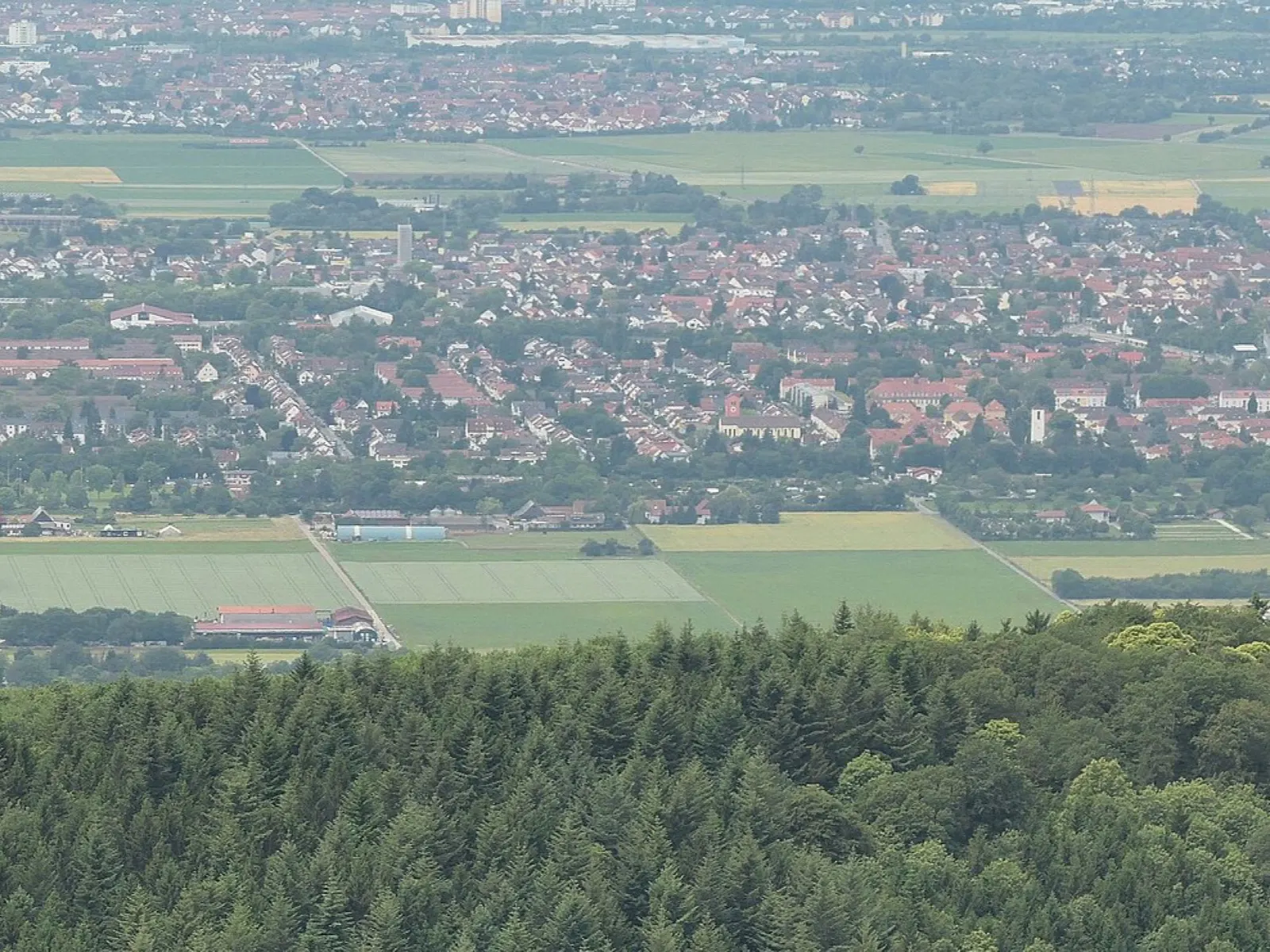 Heidelberg-Pfaffengrund, Gartenstadt
